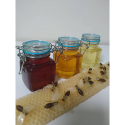 Včelí Med - Zdravie z prírody